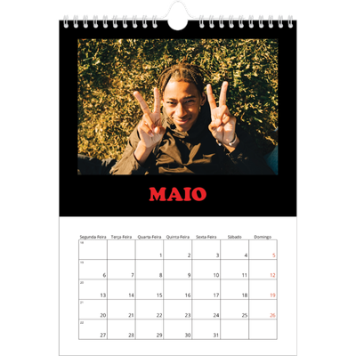 Calendário fotográfico A4 — Tipo divertido [capa]