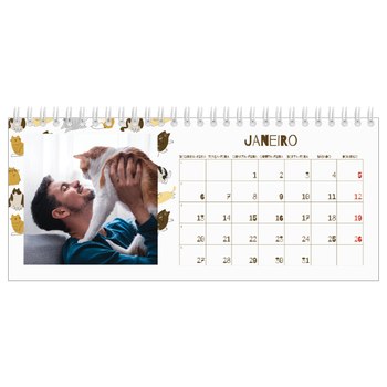 Calendário de Fotografias de Mesa — Gatinho brincalhão