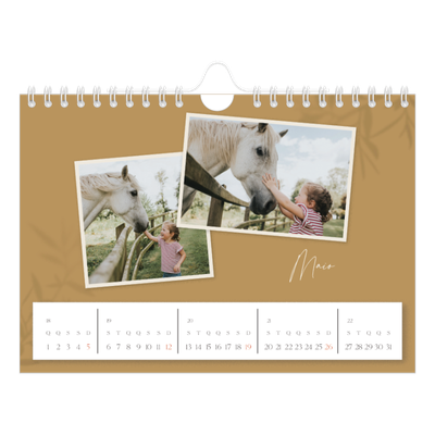 Calendário A5 horizontal — Com os pés no chão [capa]