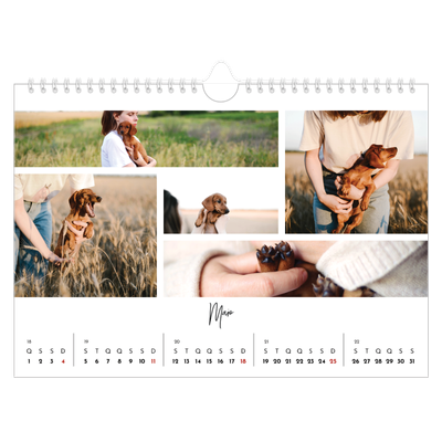 Calendário A4 horizontal — Arranjos fotográficos [capa]