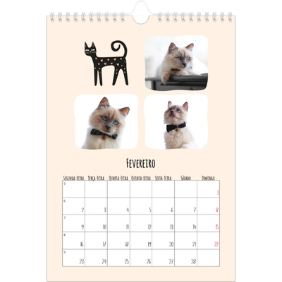 Calendário fotográfico A4 — Patas de gato e garatujas [Fevereiro]
