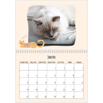 Calendário fotográfico duplo A4 — Patas de gato e garatujas