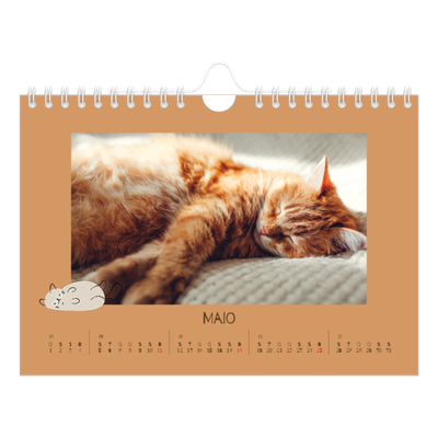 Calendário A5 horizontal — Gatinho brincalhão [capa]