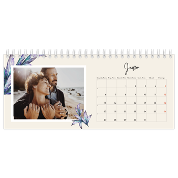 Calendário de Fotografias de Mesa — Flores pintadas