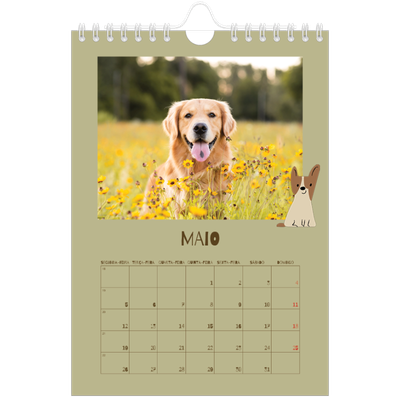 Calendário A5 — Cãozinho brincalhão [capa]