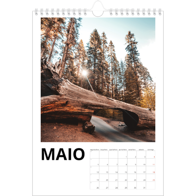 Calendário fotográfico A4 — White space [capa]