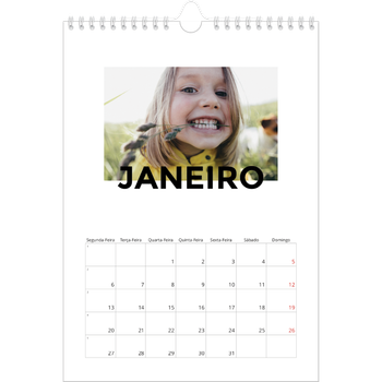 Calendário fotográfico A4 — Scattergram