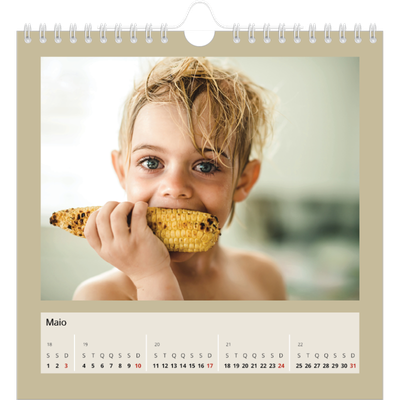 Calendário quadrado — Cores da terra [capa]