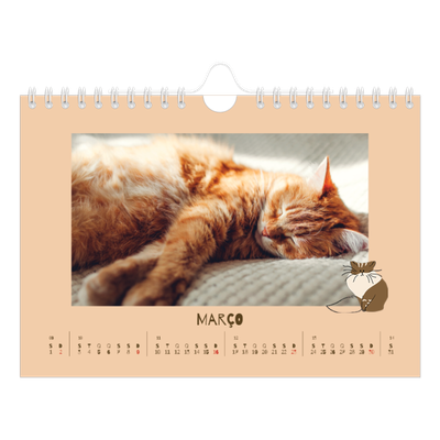 Calendário A5 horizontal — Gatinho brincalhão [Março]
