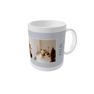 Canecas personalizadas — Gato com estilo