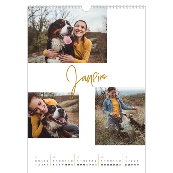 Calendário fotográfico A3 — Marcador dourado