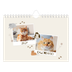 Calendário A5 horizontal — Gatinho brincalhão [capa]
