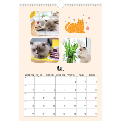 Calendário A3 — Patas de gato e garatujas [capa]