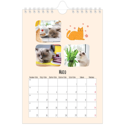 Calendário A5 — Patas de gato e garatujas [capa]