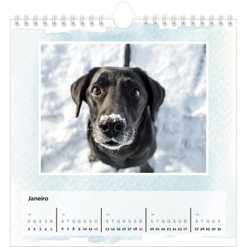 Calendário fotográfico quadrado — Fundos de aquarela