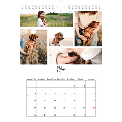Calendário fotográfico A4 — Arranjos fotográficos [capa]