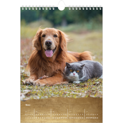 Calendário fotográfico A4 — Classic Gold [capa]