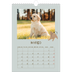 Calendário fotográfico A4 — Cãozinho brincalhão [Março]