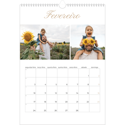 Calendário A3 — Caixas de tiras fotográficas [Fevereiro]