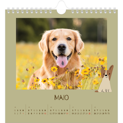 Calendário quadrado — Cãozinho brincalhão [capa]