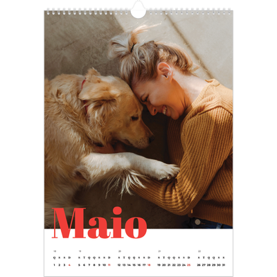 Calendário A3 — Um ano audacioso [capa]