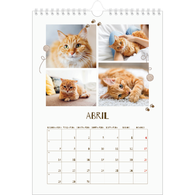 Calendário fotográfico A4 — Gatinho brincalhão [Abril]