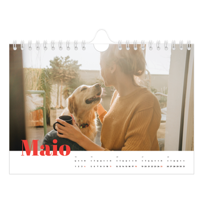 Calendário A5 horizontal — Um ano audacioso [capa]