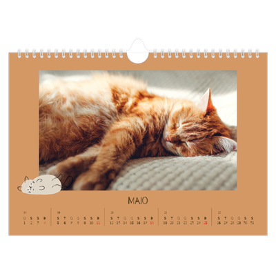 Calendário A4 horizontal — Gatinho brincalhão [capa]