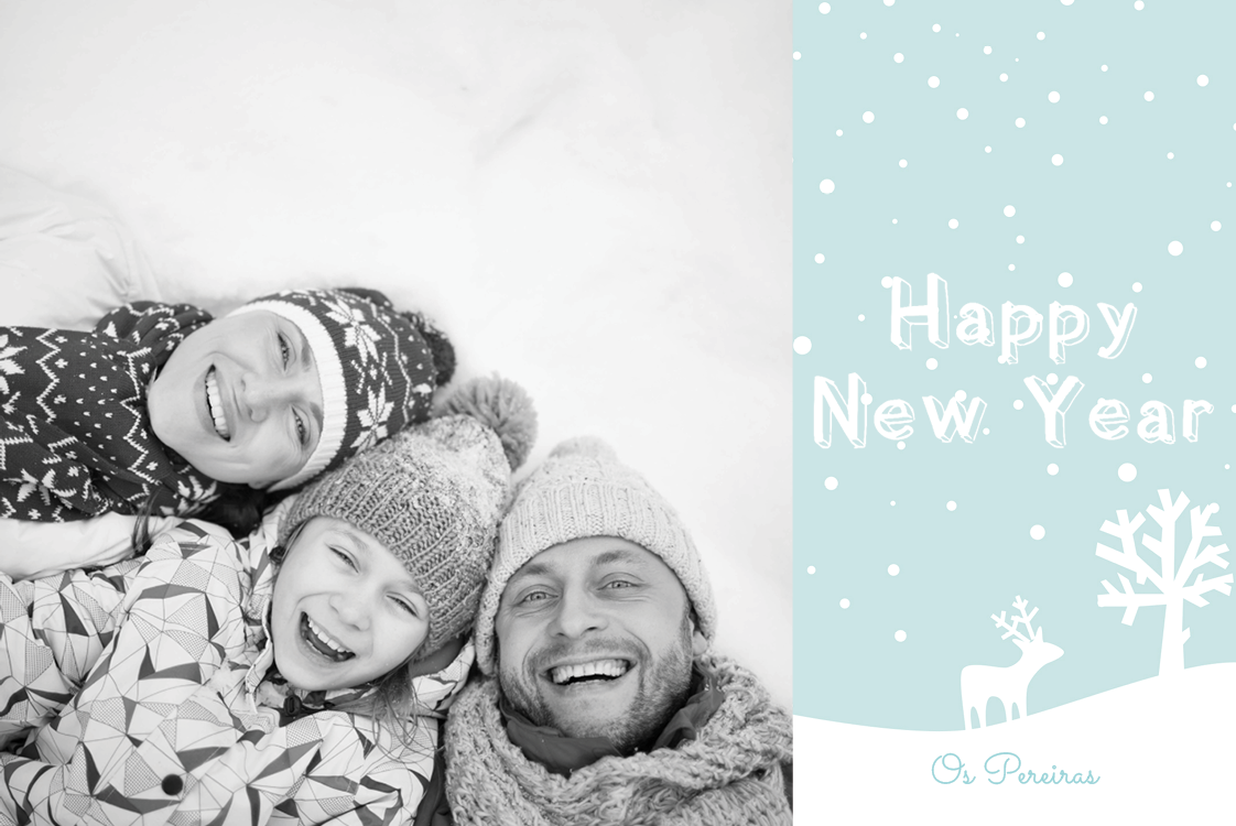 Cartões — Nevasca