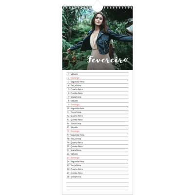 Calendário fino  — Script simples [Fevereiro]