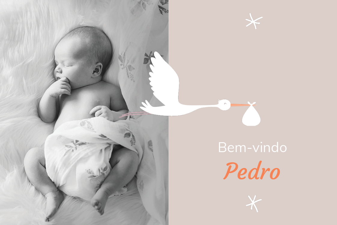 Convites — A minha amiga cegonha