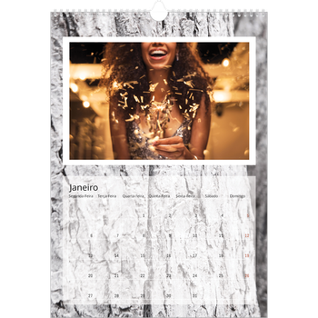 Calendário fotográfico A3 — Casca de árvore