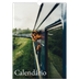 Calendário A3 — Serifa simples [capa]