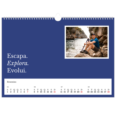 Calendário A3 Horizontal — Terra editorial [Fevereiro]