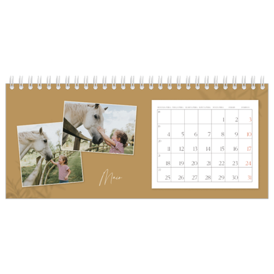 Calendários de mesa — Com os pés no chão [capa]