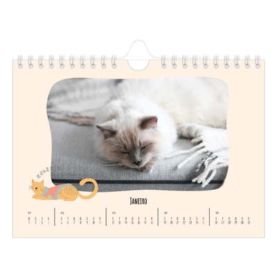Calendário A5 horizontal — Patas de gato e garatujas [Janeiro]