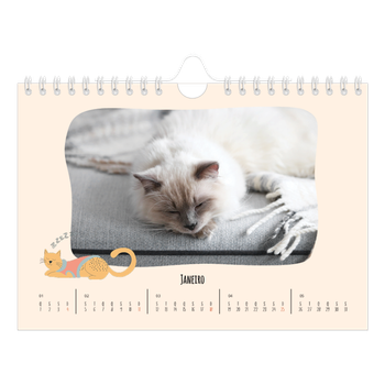 Calendário de Fotografias A5 Paisagem — Patas de gato e garatujas