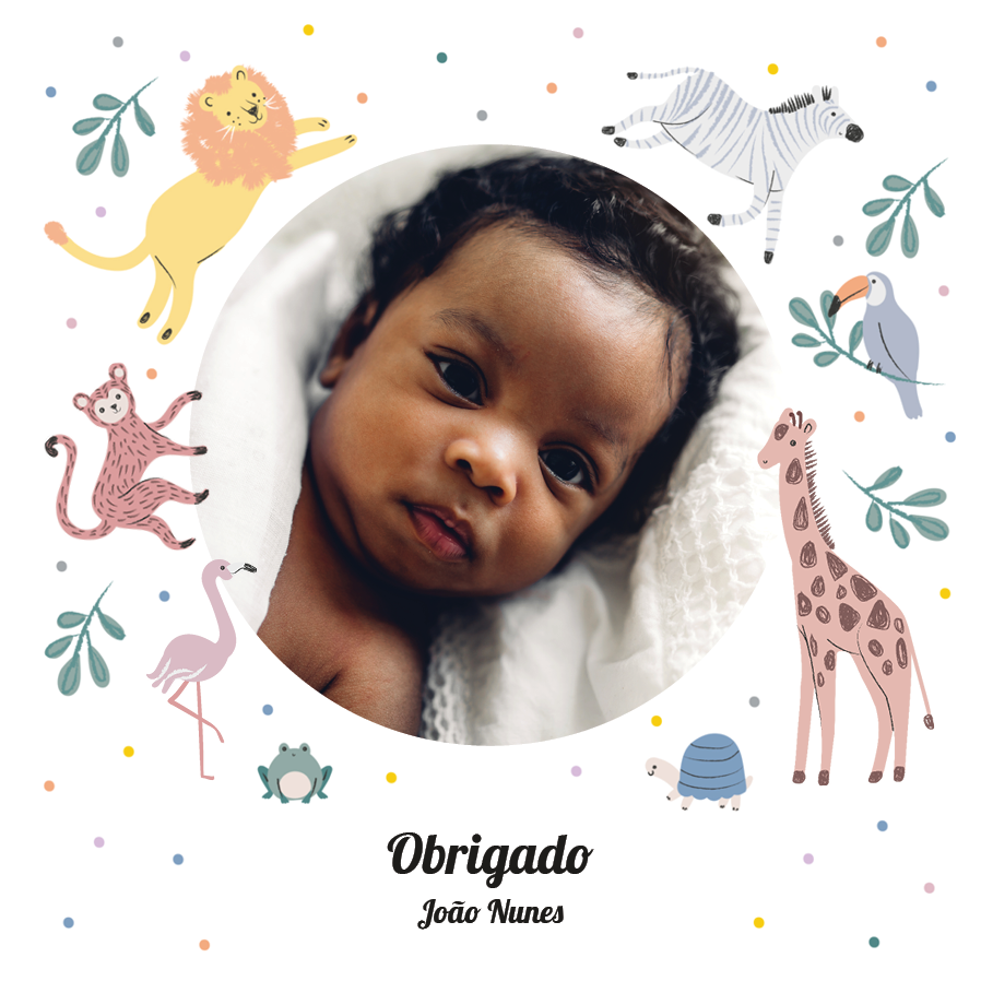 Cartões de agradecimento — Safari divertido