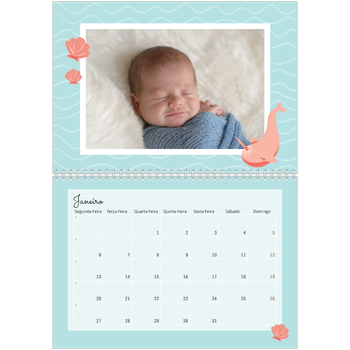 Calendário fotográfico duplo A4 — Animais bonitos