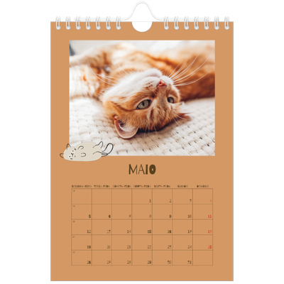 Calendário A5 — Gatinho brincalhão [capa]