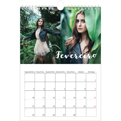 Calendário fotográfico A4 — Script simples [Fevereiro]