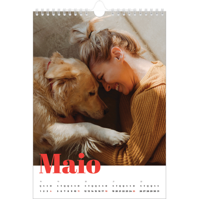 Calendário fotográfico A4 — Um ano audacioso [capa]