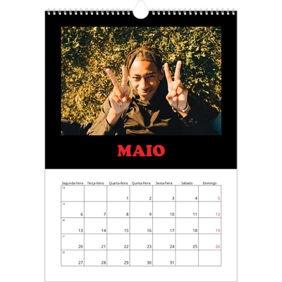 Calendário A3 — Tipo divertido [capa]