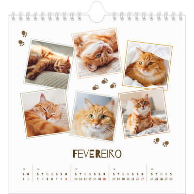 Calendário quadrado — Gatinho brincalhão [Fevereiro]