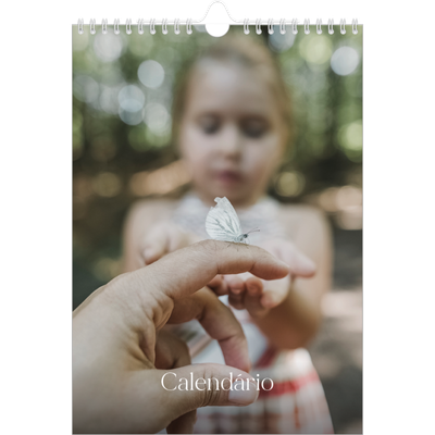 Calendário fotográfico A4 — Doze meses grandes [capa]