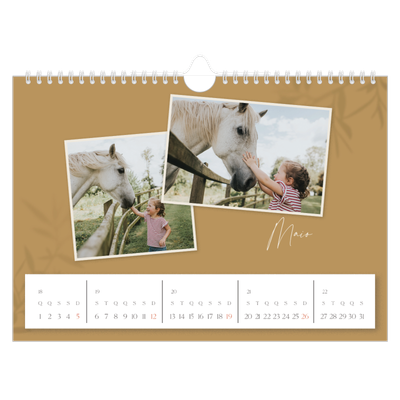 Calendário A4 horizontal — Com os pés no chão [capa]