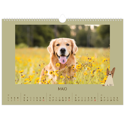 Calendário A3 Horizontal — Cãozinho brincalhão [capa]