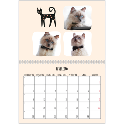 Calendário A4 duplo — Patas de gato e garatujas [Fevereiro]
