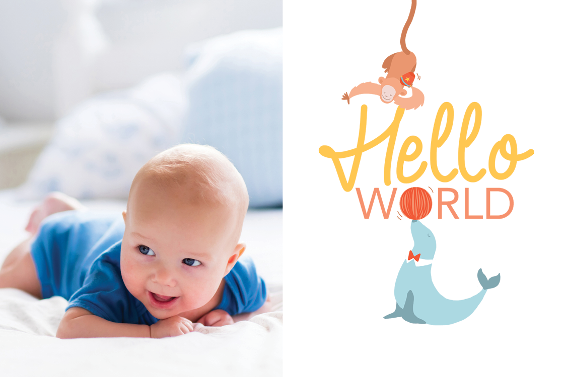 Convites — Animais brincalhões