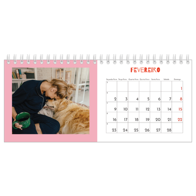Calendários de mesa — Divertido e colorido [Fevereiro]